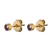 Пусеты Fiore Luna Cubic zirconia Garnet, SWE0128 GR G